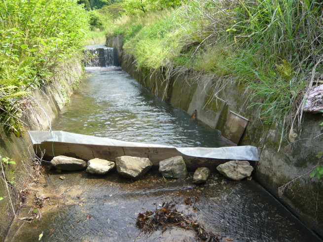 川を堰き止めて水を引き入れているところです